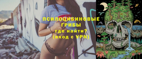 экстази Михайлов