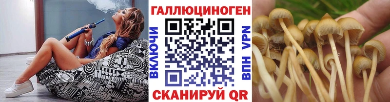Псилоцибиновые грибы Magic Shrooms  Оренбург 